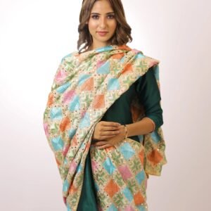 women's phulkari embroidered chiffon dupatta