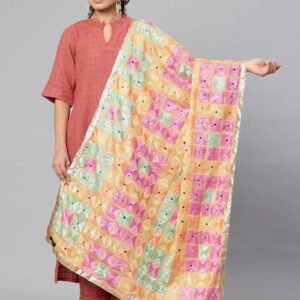 women's phulkari embroidered chiffon dupatta