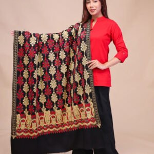 women's aari embroidered wool shawl